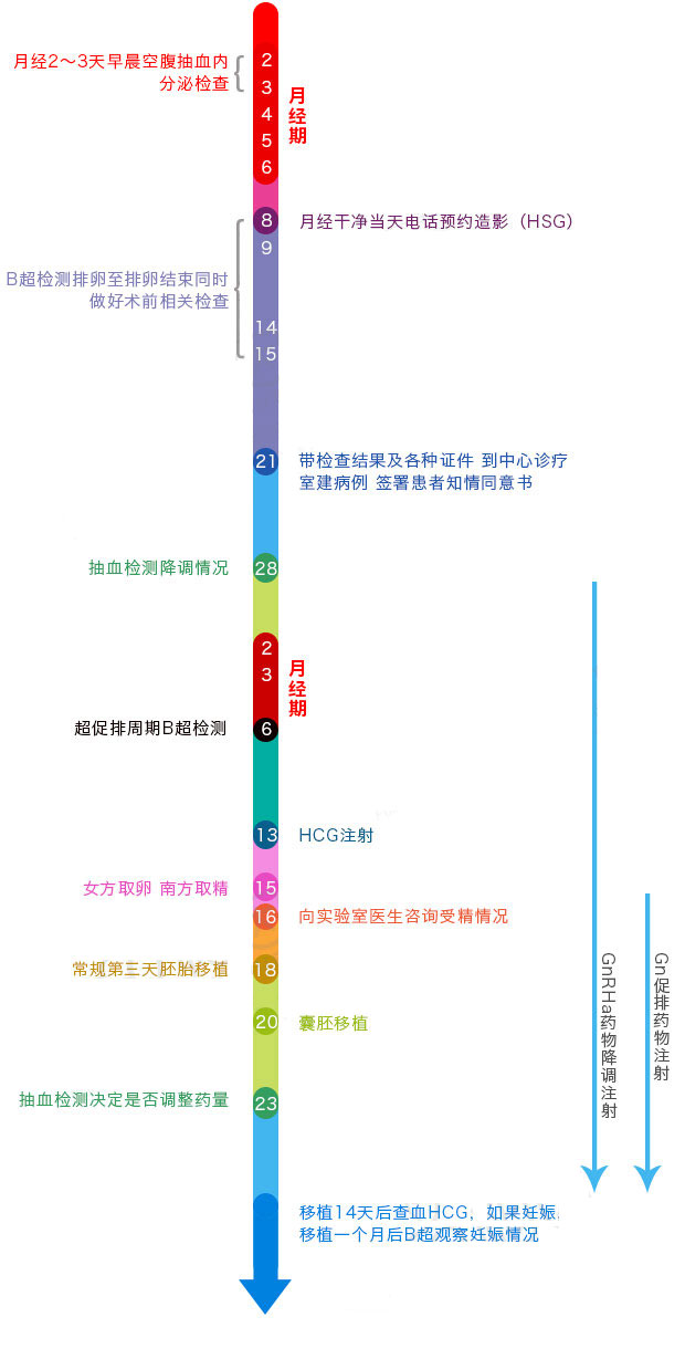 做试管婴儿详尽步骤解读