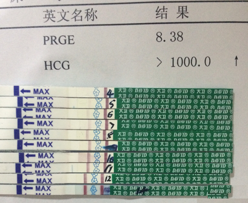 囊胚移植后最快在当天即可着床